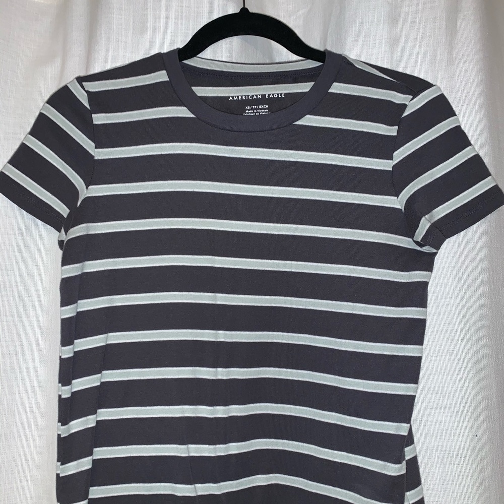 American Eagle Fitted Crop Top